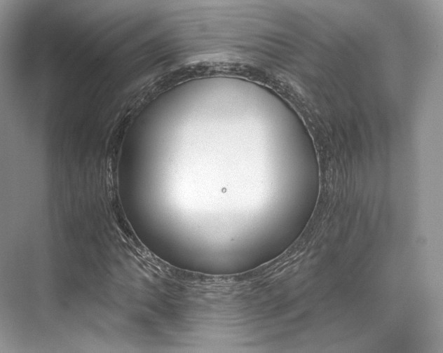X0000073901062200608110930
