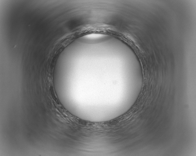 X0000073901063200608110930