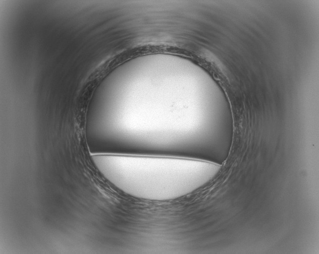 X0000073901064200608110930