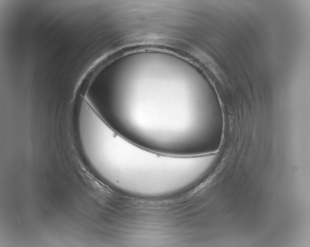 X0000073901069200608110930