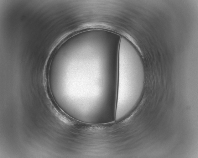 X0000073901082200608110929