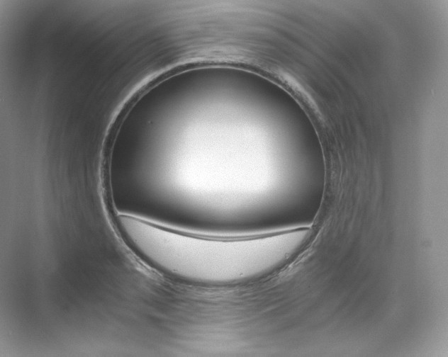 X0000073901085200608110929