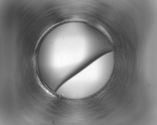 X0000073901092200608110929