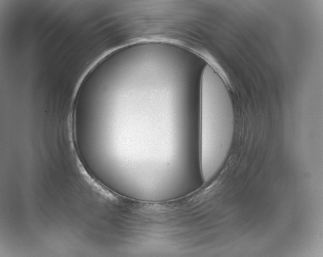 X0000073901100200608110929