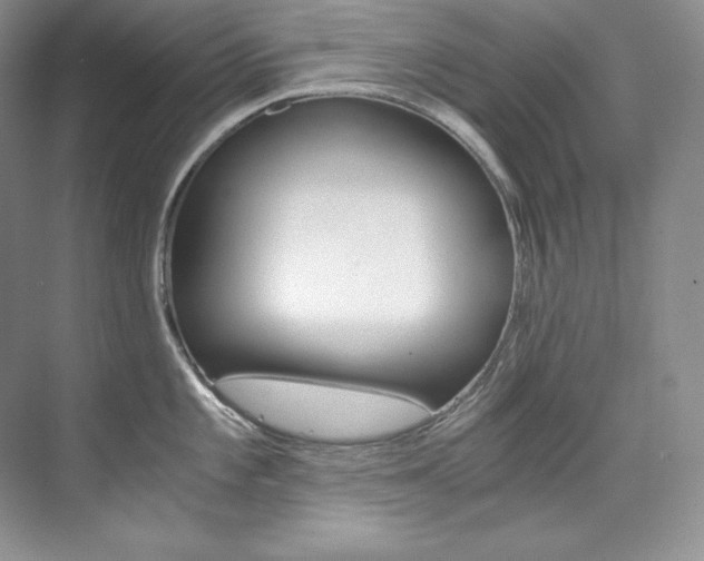 X0000073901101200608110929
