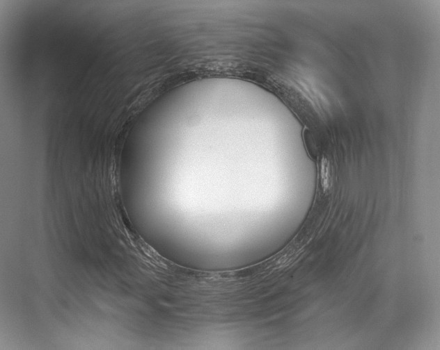 X0000073901107200608110928