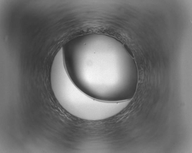 X0000073901109200608110928