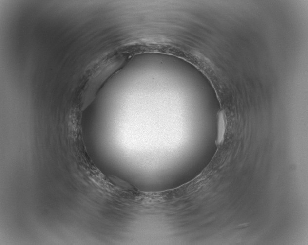 X0000073901110200608110928