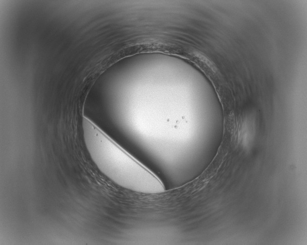 X0000073901111200608110928