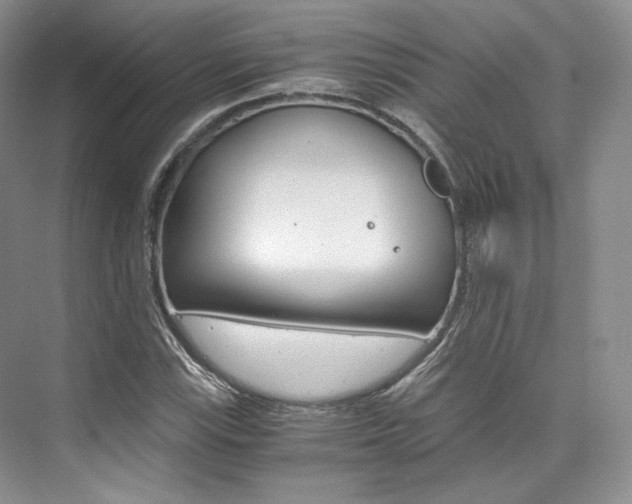 X0000073901115200608110928