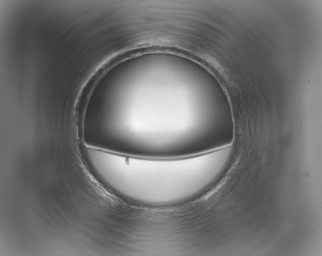 X0000073901118200608110928