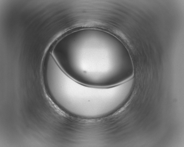 X0000073901122200608110928