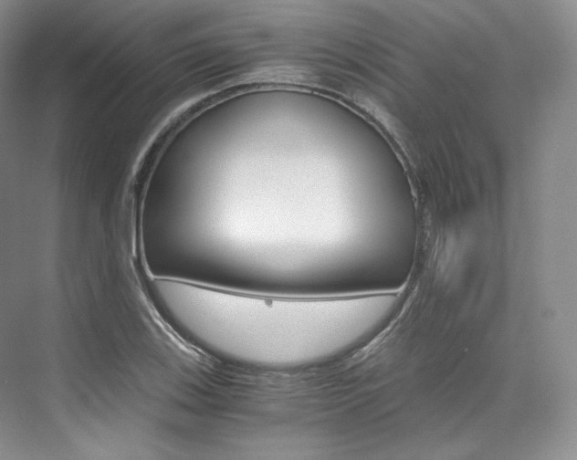 X0000073901123200608110928