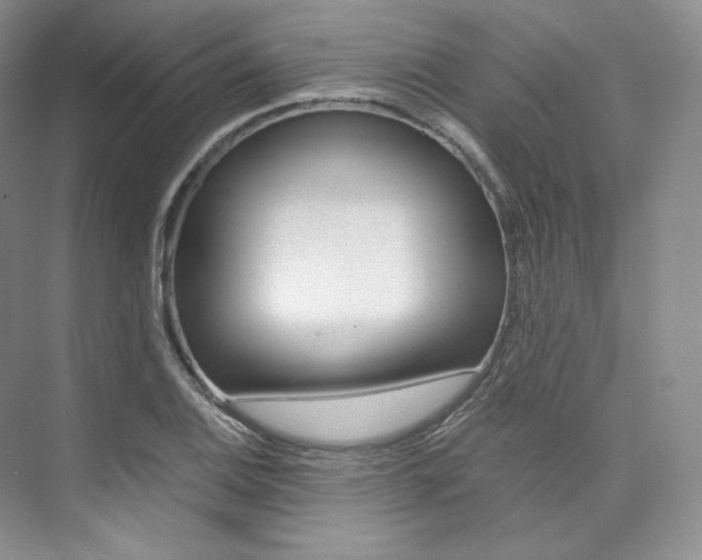 X0000073901124200608110928