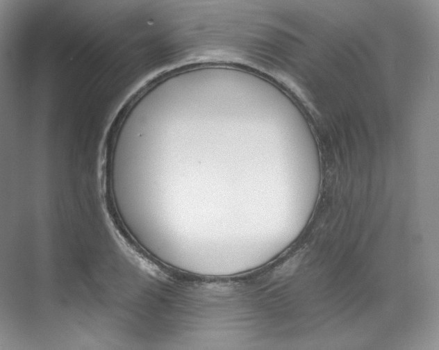 X0000073901126200608110928