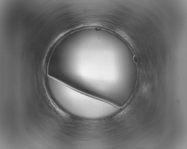 X0000073901127200608110928