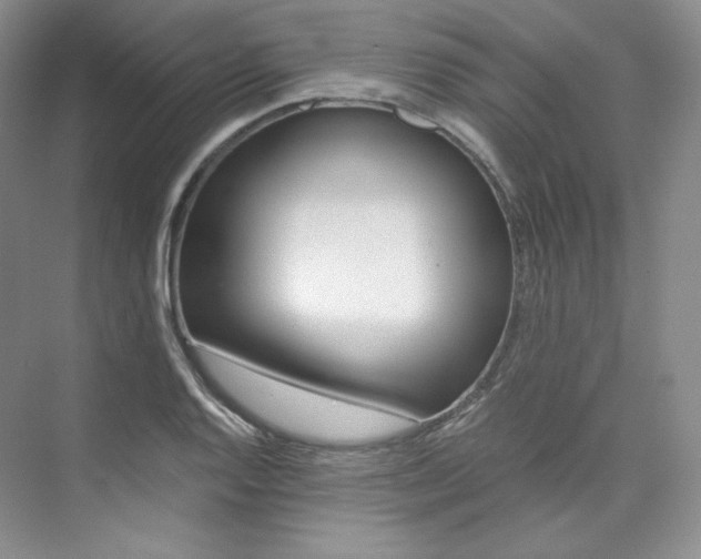X0000073901128200608110928