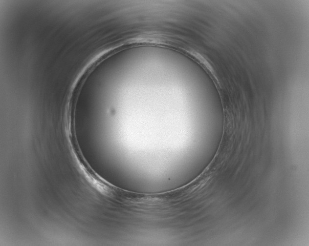 X0000073901131200608110929