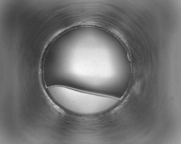 X0000073901133200608110929