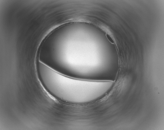 X0000073901141200608110929