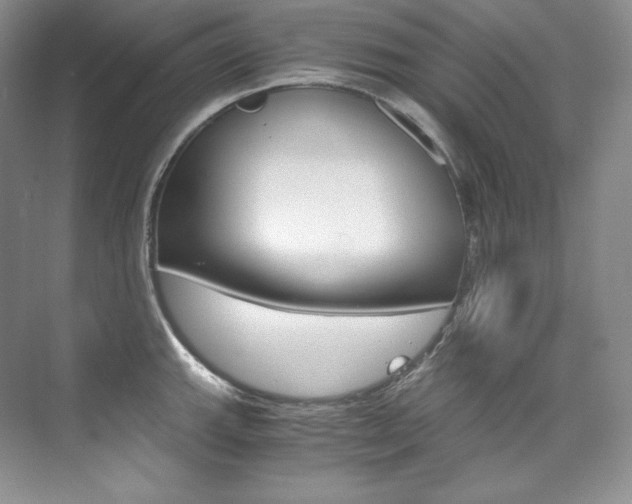 X0000073901143200608110929