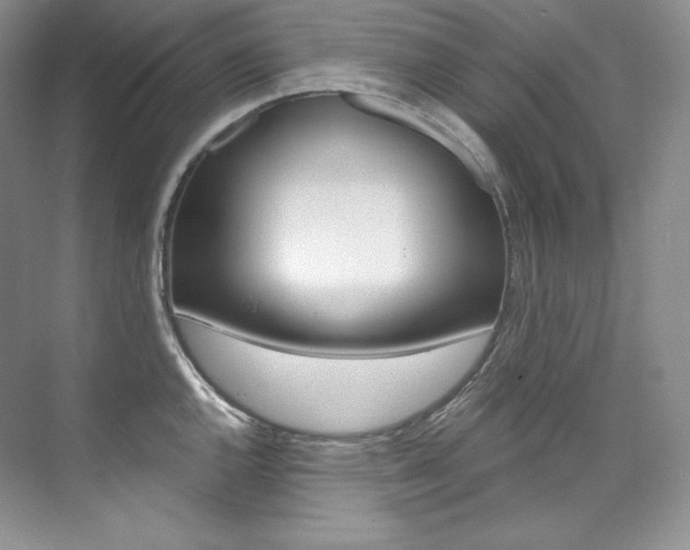 X0000073901144200608110929