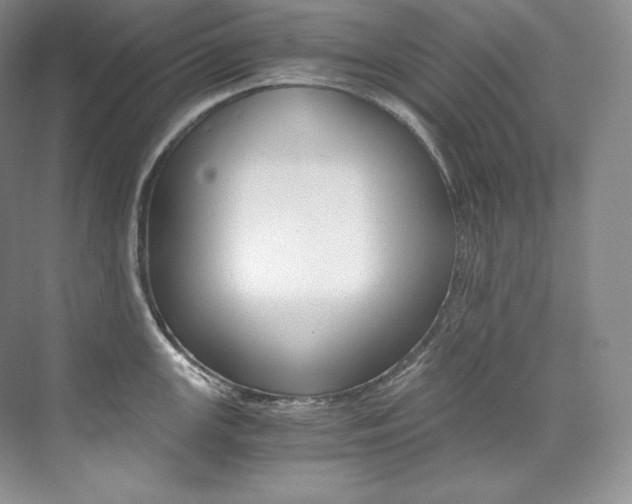 X0000073901147200608110929