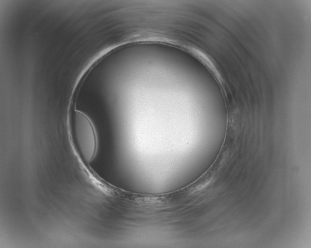 X0000073901149200608110929