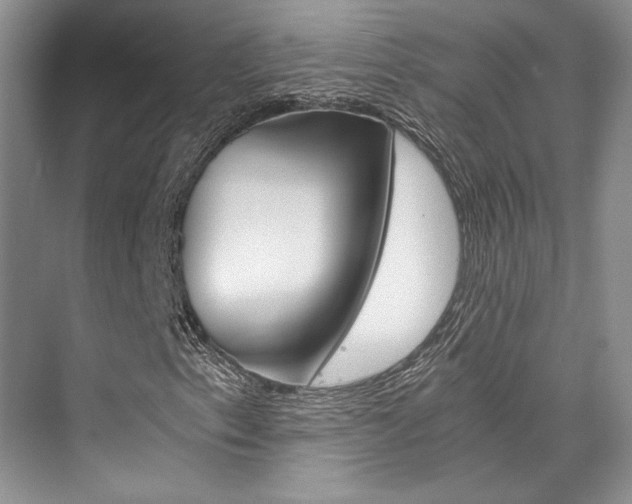 X0000073901153200608110928