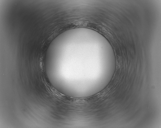 X0000073901154200608110928