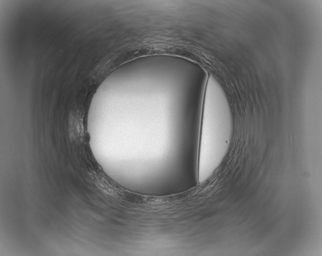 X0000073901155200608110928