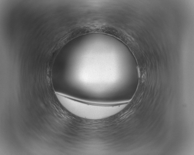 X0000073901156200608110928