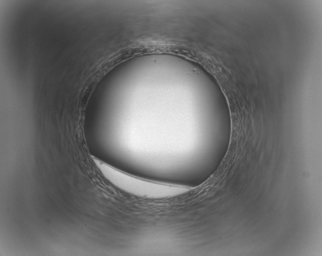 X0000073901157200608110928