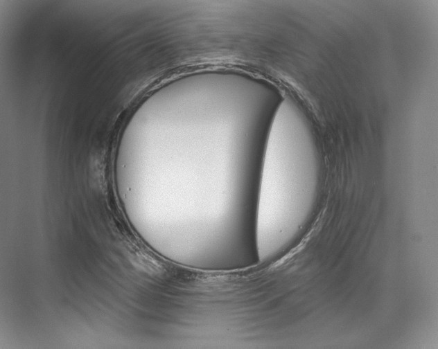 X0000073901162200608110928