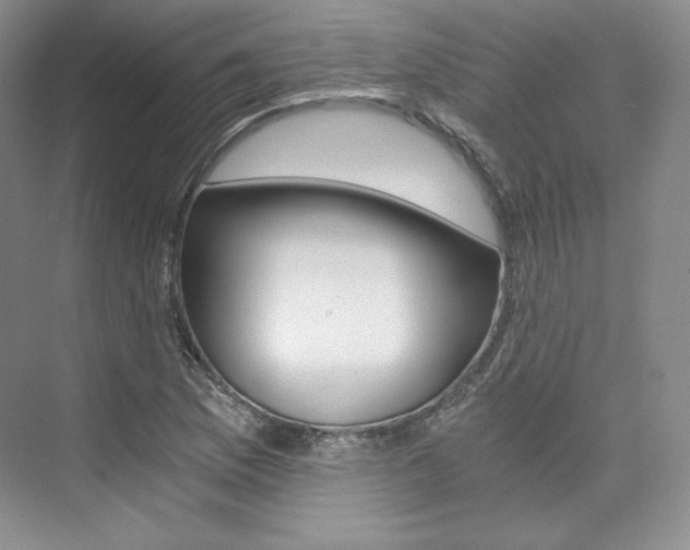 X0000073901169200608110928
