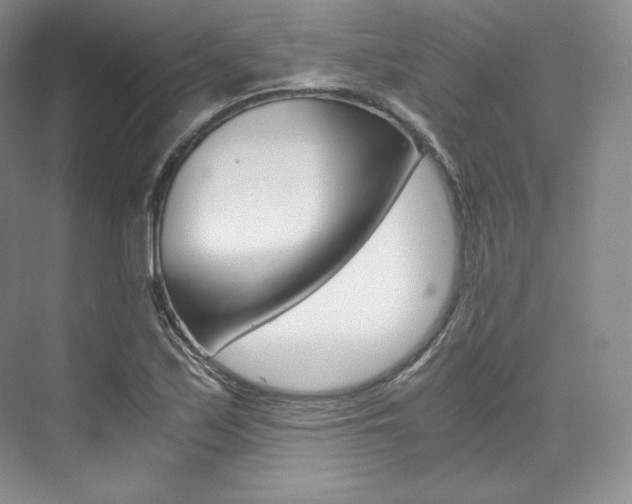 X0000073901171200608110928