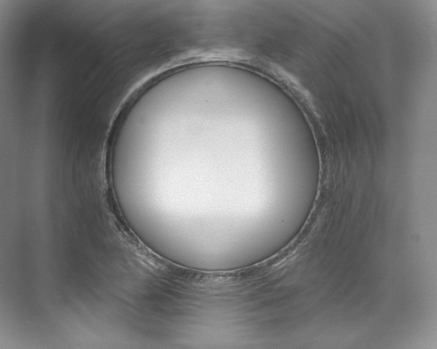 X0000073901174200608110928