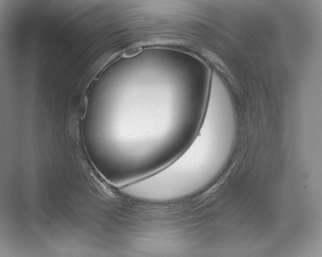 X0000073901177200608110928
