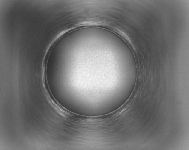 X0000073901179200608110928