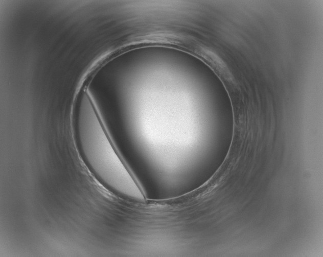 X0000073901180200608110928