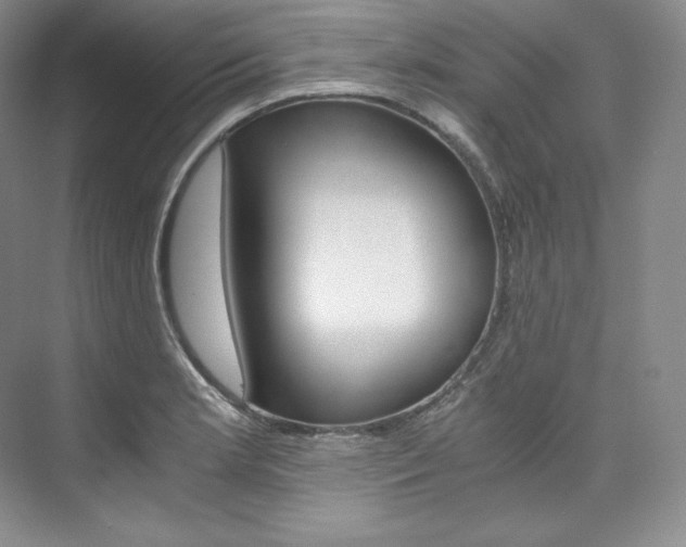 X0000073901181200608110928