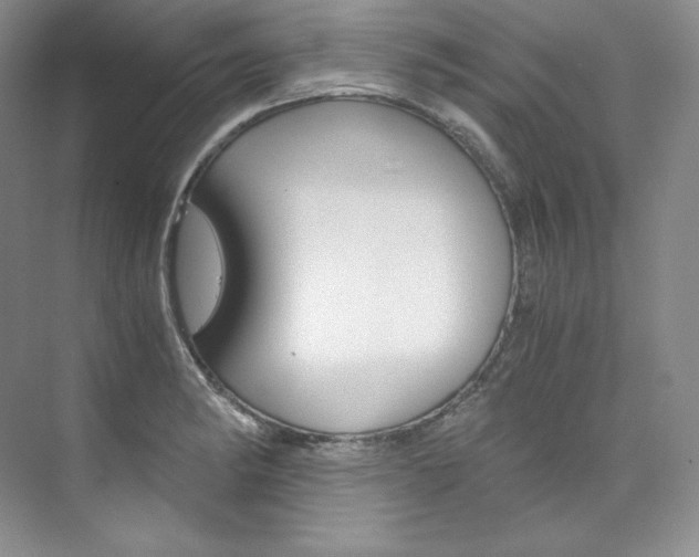 X0000073901182200608110928