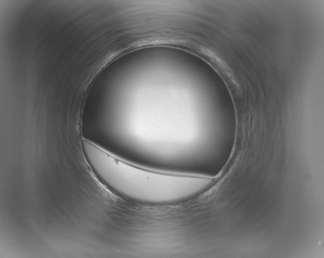 X0000073901185200608110928
