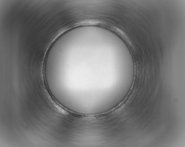X0000073901186200608110928