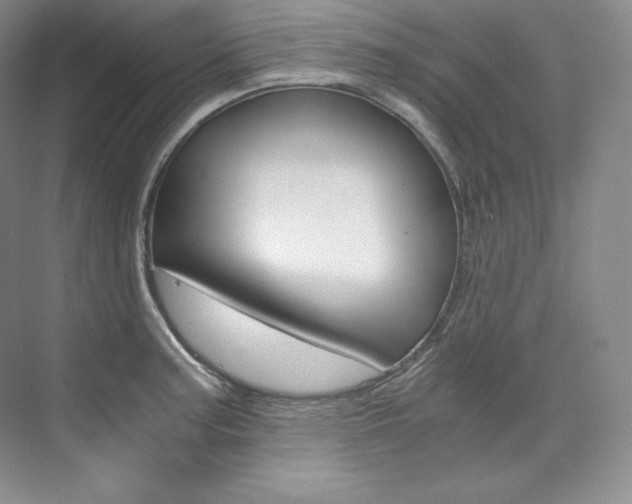 X0000073901187200608110928