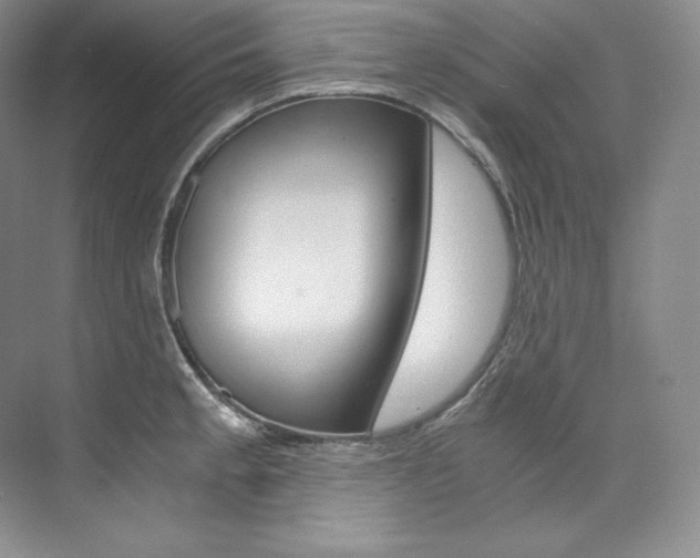 X0000073901189200608110927