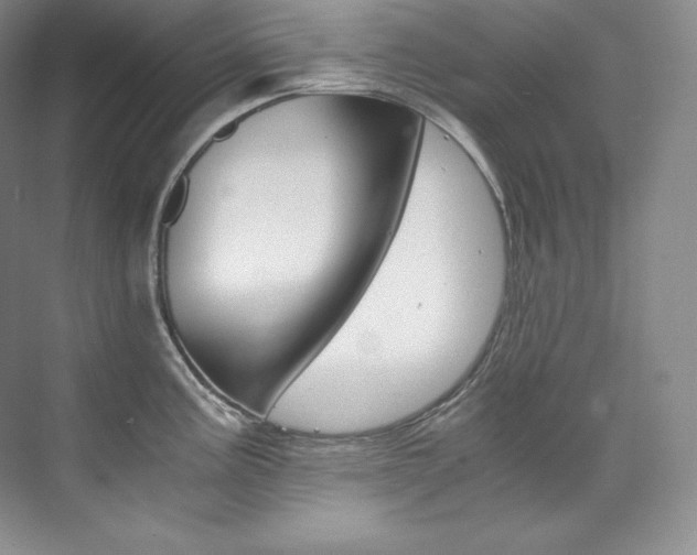 X0000073901195200608110927