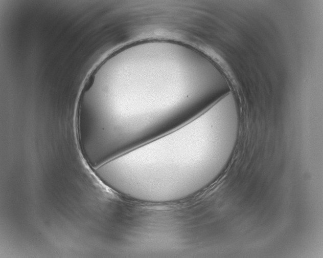 X0000073901199200608110927