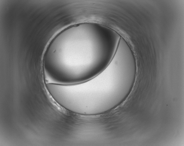 X0000073901200200608110927