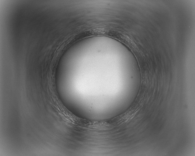 X0000073901201200608110926